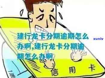 建设银行信用卡逾期后的各种解决方案和宽限期，你能了解更多吗？