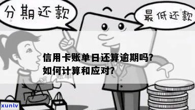 信用卡逾期后如何正确计算账单日以确保及时还款