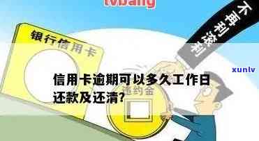 信用卡逾期可以多久工作日还款：解答与建议