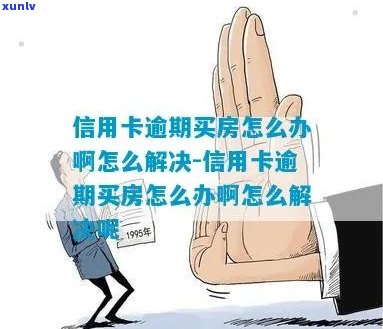 买房什么叫信用卡逾期