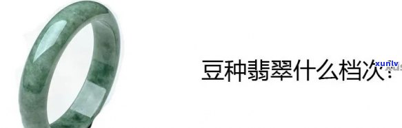 如何培育豆种翡翠：从选择种子到种植技巧的一揽子指南