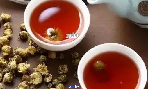 胎菊加普洱茶的泡法