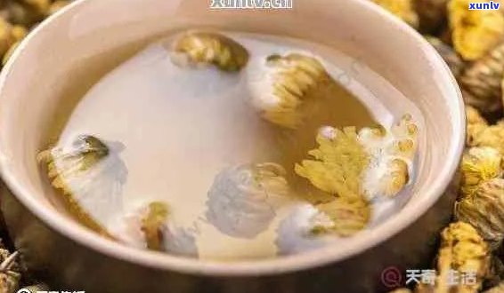 胎菊加普洱茶的泡法