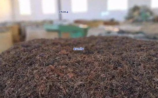 普洱茶发酵技术是哪一年出现的？