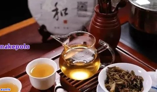 '胃疼能不能喝普洱：普洱茶与胃疼的关系，以及各种类型普洱茶的建议'