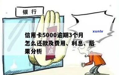 逾期半年未还款的信用卡5000元：可能的后果与处理 *** 