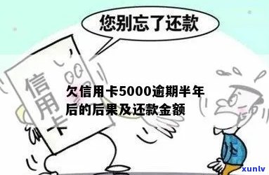 逾期半年未还款的信用卡5000元：可能的后果与处理 *** 