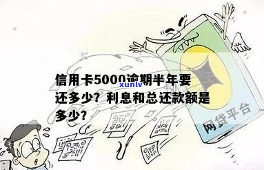 逾期半年未还款的信用卡5000元：可能的后果与处理 *** 