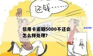 逾期半年未还款的信用卡5000元：可能的后果与处理 *** 