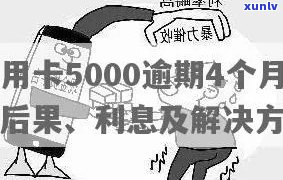 逾期半年未还款的信用卡5000元：可能的后果与处理 *** 