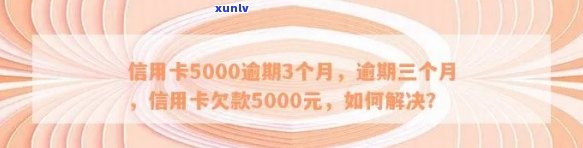 信用卡逾期半年5000元：解决办法、逾期影响与如何规划还款策略