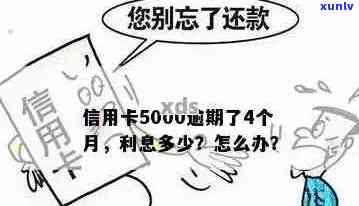 信用卡5000逾期一年多了怎么办：解决办法及影响分析