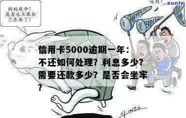 信用卡5000逾期一年会不会坐牢？逾期一年后的后果与解决办法