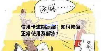 信用卡逾期后被冻结怎么办？如何解冻恢复使用？