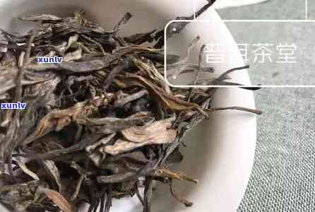 普洱茶价格区间全面解析：30块一斤的普洱茶种类、品质与口感详解