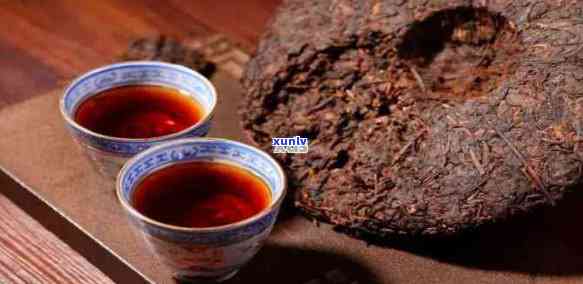 探究普洱茶独特的陈味产生原理及其品饮技巧