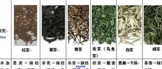 本草纲目记载茶的功效及副作用：探究中医药对茶叶功效与安全性的综合认识。