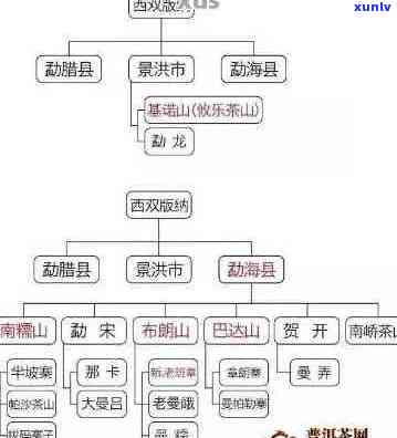 全面了解犇龙普洱茶价格：品种、等级、产地等因素的影响解析