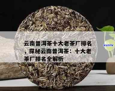 云南普洱茶十大名厂