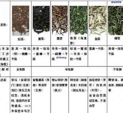 新大益四春茶的品种、产地、口感、功效及冲泡 *** 全方位解析