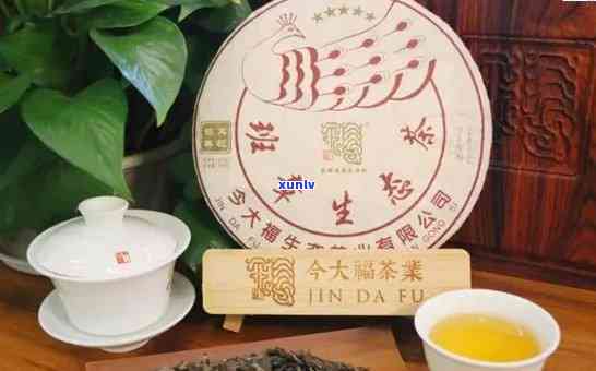 大益四春生茶品质与价格： *** 版还是常规款？