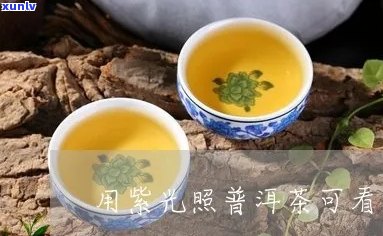 新紫外线照射下的普洱茶，杀菌效果显著，茶叶更健