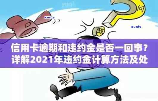 2021年信用卡逾期还款利息与违约金详细计算 *** ：避免逾期的实用技巧