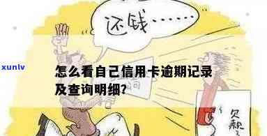 怎么查信用卡逾期次数记录明细？