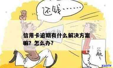 信用卡逾期有什么办法解决？