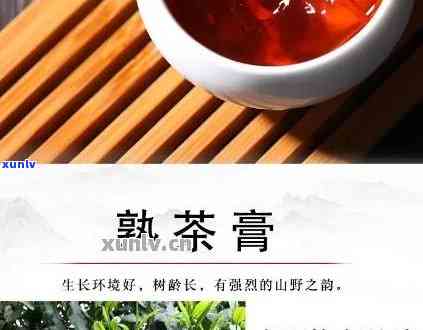 顿普洱茶膏旗舰店