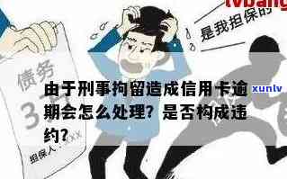 拘留期间信用卡逾期问题解决策略：专业人士指导