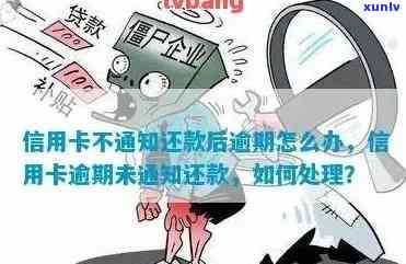 信用卡逾期未通知：如何妥善处理以及预防措