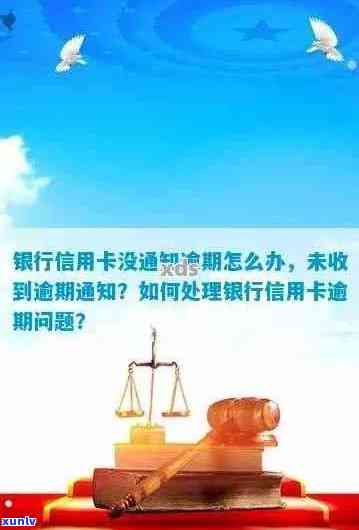 当银行未及时通知还款导致逾期，应如何处理及相关注意事项