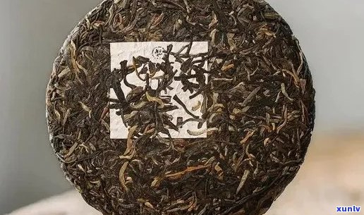 30元每公斤的普洱茶：真的存在吗？