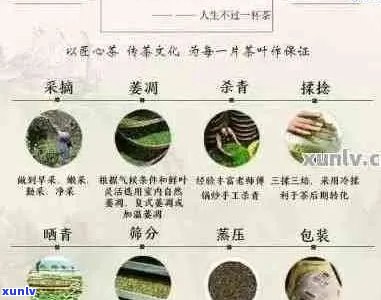 普洱茶的内外一口料：原料、 *** 过程与口感全面解析