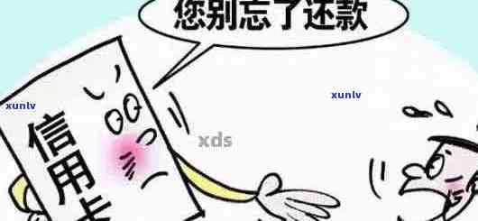 信用卡逾期账单无踪影？五个步骤帮助您解决问题！