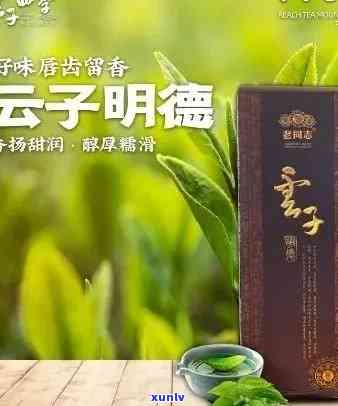 云南云子茶：品质与口感的探究，真的是普洱茶吗？