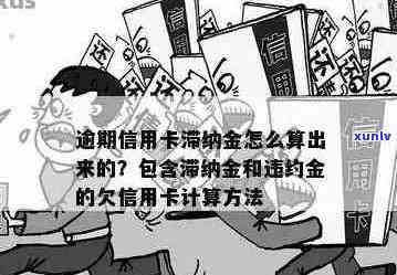 信用卡逾期利息计算：一天的滞纳金和罚息是多少？