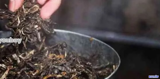 普洱茶放冷后能喝吗？有吗？如何正确保存普洱茶？