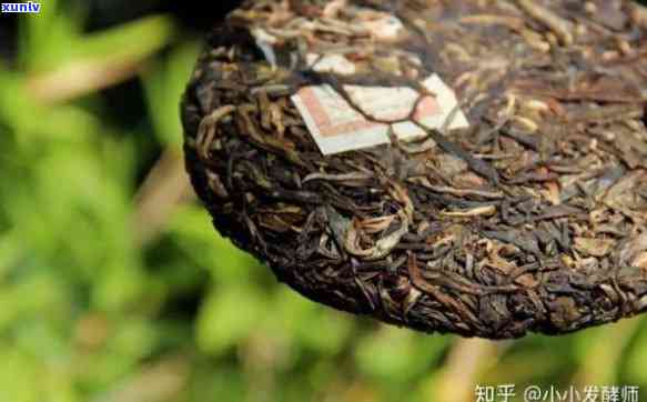 普洱茶拼配与纯料对比：哪种更好？解析各种茶叶的特点与优缺点