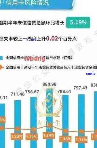 全面掌握网贷信用卡逾期情况：查询、影响与解决方案一应俱全