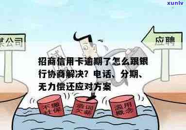 招商预借现金逾期无力还款的解决方案：借款人应如何应对？