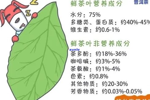 普洱茶的营养成分及其对健的潜在影响：维生素含量分析