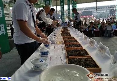 云南省普洱茶交易会