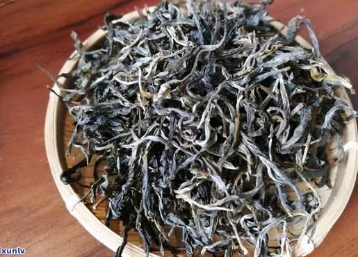 稀有古树普洱茶4000元一斤，张一元茶叶独家呈现