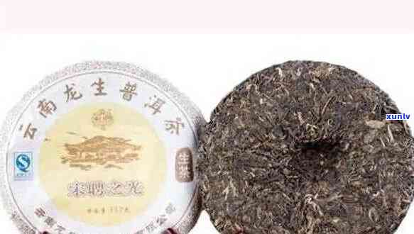 龙普洱茶是怎么样