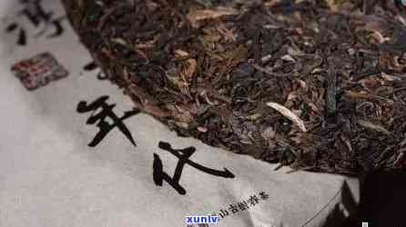 陈香普洱茶老树品种价格大全：了解全貌与比较选择茶叶