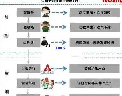 2019年信用卡逾期新规：严重程度、后果及应对策略全方位解析