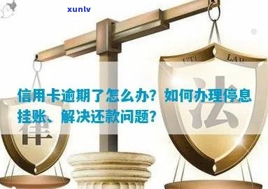 信用卡逾期咋停息挂账呢，2020年申请办法及沟通技巧，请分享您的经验。