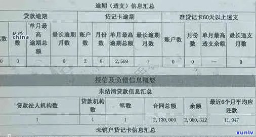 信用卡20次逾期记录